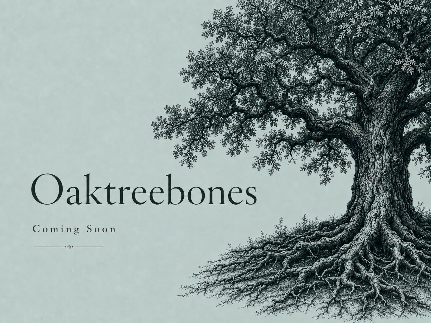 Oaktreebones — Coming Soon